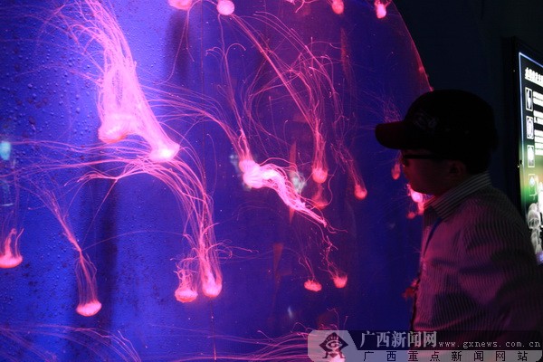 ൺ磬λɫ֮