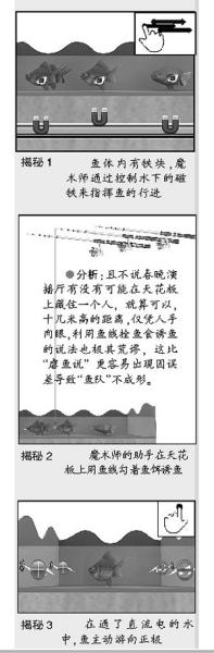 Ŷӣǡͨ˵硱