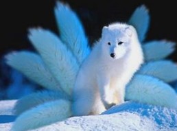 QQͼ20131206111839.jpg