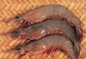 QQͼ20131205134415.jpg
