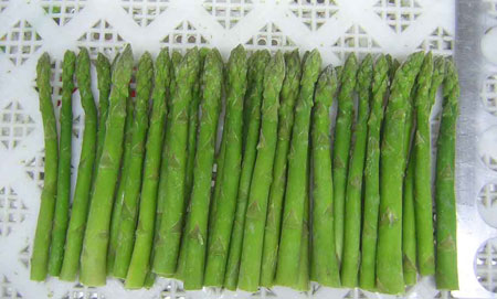 20111024073330446.jpg