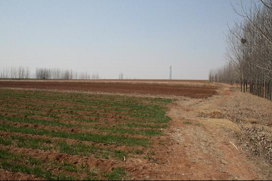 201111261311150.jpg