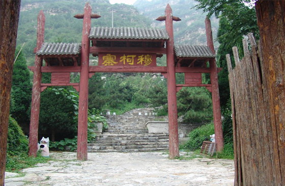 2010112520450508.jpg