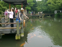 е鲩