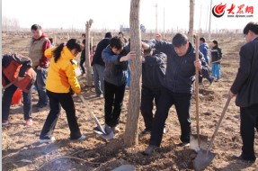 QQͼ20130310145027.jpg