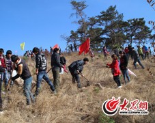 QQͼ20130310173107.jpg