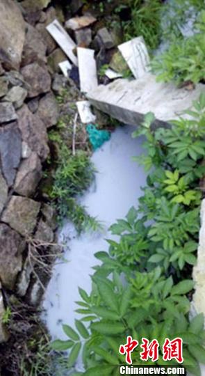 “牛奶瀑布”涌入浙江最清澈水系的直流 网络截图 摄