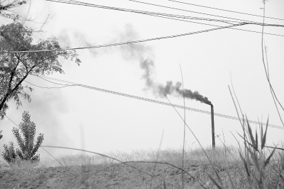 5月16日,在河北省保定市满城县方顺桥镇方顺桥村,烟囱矗立在绿油油的麦地旁边,滚滚黑烟扑腾着“溢”向天空。记者 梁嘉琳 摄