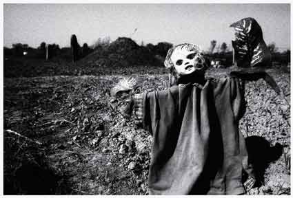 ���ϰ��̴��ط�������� �鱨����ƭ����(ͼ)