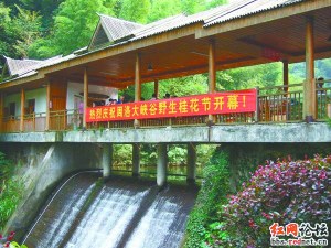 �����涨���괦Ů��Ʊ�������������ʡ�զ��֤��