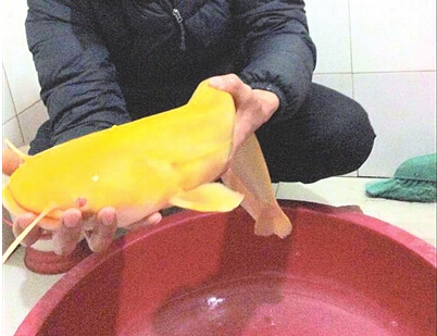 QQͼ20150216081833.jpg