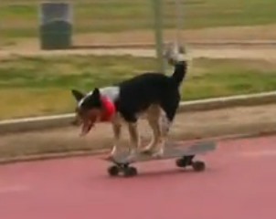 QQͼ20130910134639.jpg