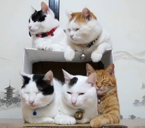 QQͼ20131226093928.jpg