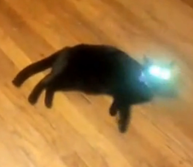 QQͼ20140516094528.jpg