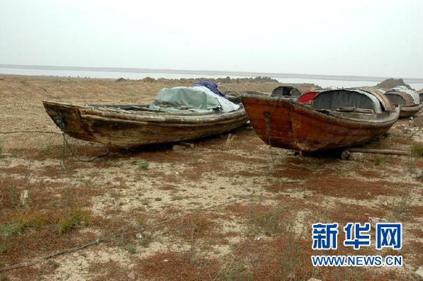 点击浏览下一张