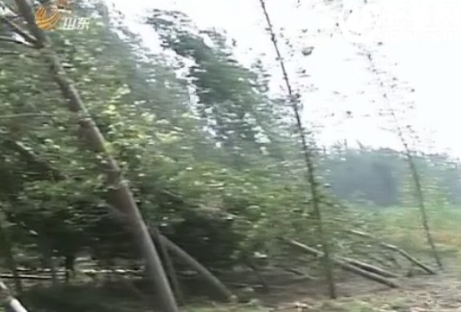 QQͼ20130808205645.jpg
