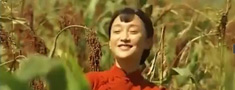红高?jpg