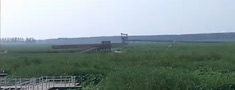 weishanhu.jpg