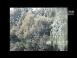 ʯʨӽʮ.jpg