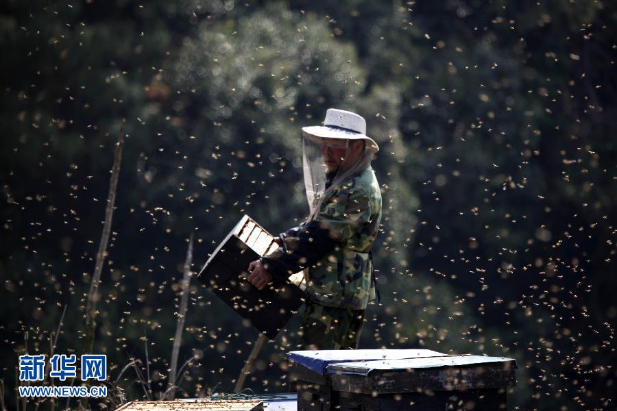 ��14�գ��ڽ���ʡ�����ض��̹�·�ԣ�һ����ũ�ڰ��Ʒ��䡣��ǰ��ֵ����ʡ�������Ͳ˻������ʢ���ڣ����ط�ũ���𻨷ŷ䣬����乲�衱��Ϊ����һ����