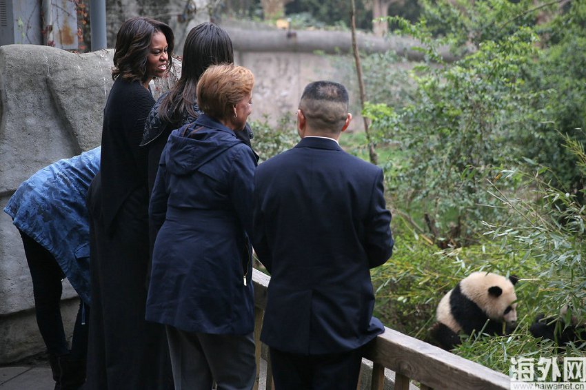 26������10ʱ����������ͳ�°���������Ъ��������ĸ���Լ�����Ů��һ���߽��ɶ�����è�����о����أ��������ѾõĴ���è����һ�����ܽӴ���