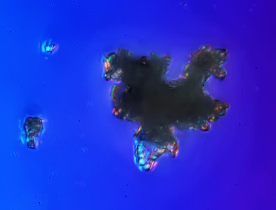 ����ͼƬ��ͨ����΢�������������Ŵ�1000���󣬷���������״���죬�и����壬������������п����ʵģ�����ȥ��Ŀ���ġ�