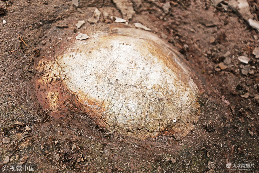 VCG111155968514.jpg