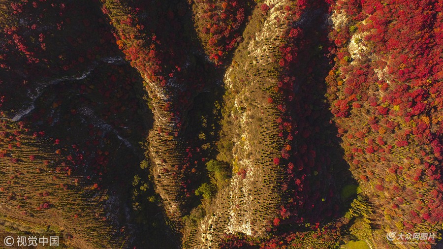 20181018գɽͲԴطɽɽҶ